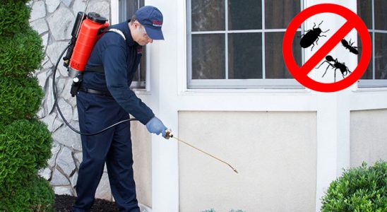 Kemalpaşa Bit İlaçlama böcek ilaçlama ve haşere kontrolü — ilaclama-tr.com
